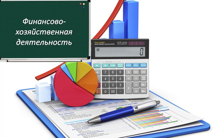 Финансово-хозяйственная деятельность Финансово-хозяйственная деятельность
